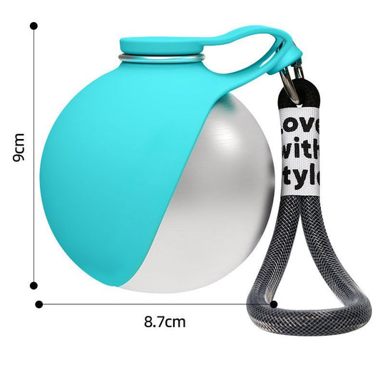 Pet water bottle